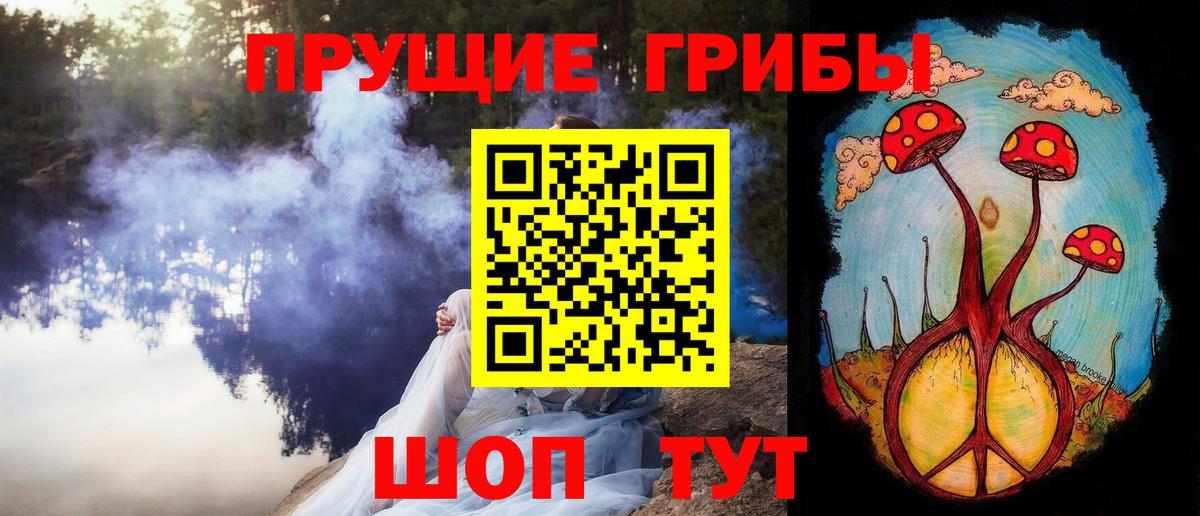 купить наркотик  Галлюциногенные грибы Psilocybine cubensis  Вход с VPN  Галлюциногенные грибы Psilocybine cubensis  Нерюнгри 